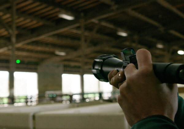 Agrilaser Handheld (ahuyentador de aves) - Imagen 2